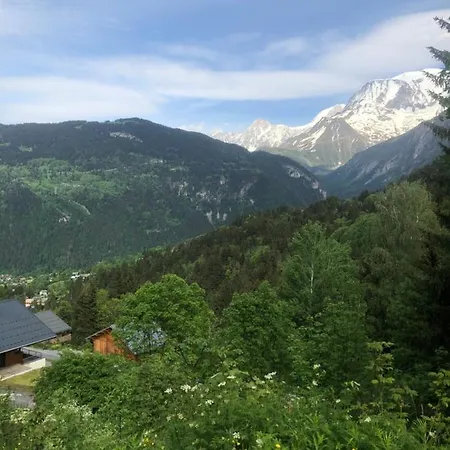 Turquoise Quartier Grattague Vue Montblanc Daire *
