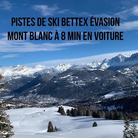Daire Turquoise Quartier Grattague Vue Montblanc *