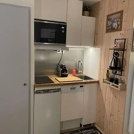 Turquoise Quartier Grattague Vue Montblanc Daire *