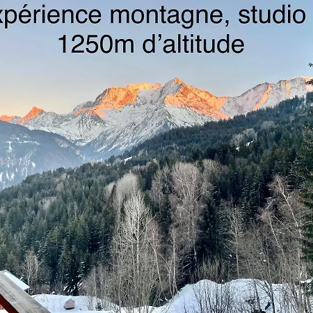 Turquoise Quartier Grattague Vue Montblanc